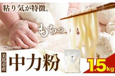 中力粉 1.5kg 美馬市産 《30日以内に発送予定(土日祝除く)》実森ラボラトリー株式会社 自家製小麦のお店mimori 送料無料 徳島県 美馬市 お菓子 パン 小麦 麺