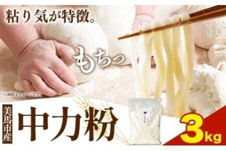 中力粉 3kg 美馬市産 《30日以内に発送予定(土日祝除く)》 実森ラボラトリー株式会社 自家製小麦のお店mimori　送料無料 徳島県 美馬市 お菓子 パン 小麦 麺