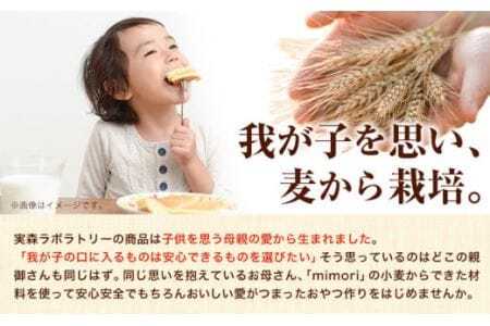 中力粉 3kg 美馬市産 《30日以内に発送予定(土日祝除く)》 実森ラボラトリー株式会社 自家製小麦のお店mimori　送料無料 徳島県 美馬市 お菓子 パン 小麦 麺