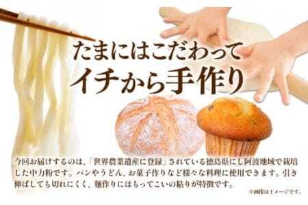 中力粉 3kg 美馬市産 《30日以内に発送予定(土日祝除く)》 実森ラボラトリー株式会社 自家製小麦のお店mimori　送料無料 徳島県 美馬市 お菓子 パン 小麦 麺