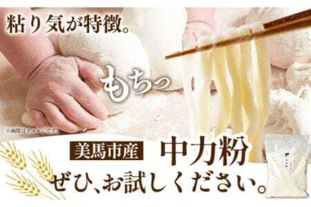中力粉 3kg 美馬市産 《30日以内に発送予定(土日祝除く)》 実森ラボラトリー株式会社 自家製小麦のお店mimori　送料無料 徳島県 美馬市 お菓子 パン 小麦 麺