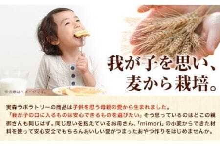 クッキーの詰め合わせ 選べる 内容量 18個入り 美馬市産 実森ラボラトリー株式会社 自家製小麦のお店mimori《30日以内に発送予定(土日祝除く)》送料無料 徳島県 美馬市 お菓子 クッキー 小麦 チョコこども 子供 スイーツ おやつ