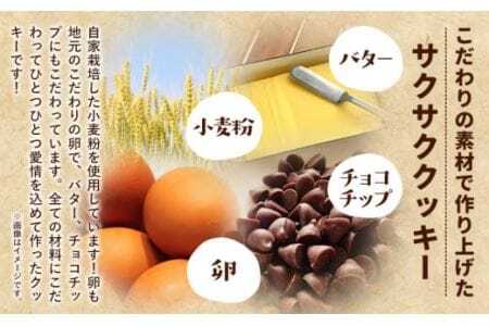 クッキーの詰め合わせ 選べる 内容量 18個入り 美馬市産 実森ラボラトリー株式会社 自家製小麦のお店mimori《30日以内に発送予定(土日祝除く)》送料無料 徳島県 美馬市 お菓子 クッキー 小麦 チョコこども 子供 スイーツ おやつ