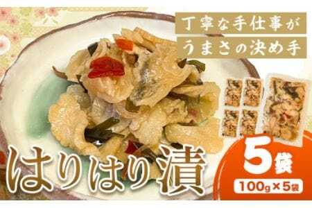 はりはり漬け 5袋 100g×5袋 有限会社美馬交流館《90日以内に出荷予定（土日祝除く）》徳島県 美馬市 みまから 漬物 つけもの 送料無料