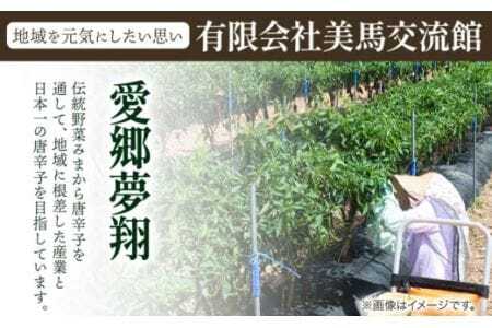 はりはり漬け 5袋 100g×5袋 有限会社美馬交流館《90日以内に出荷予定（土日祝除く）》徳島県 美馬市 みまから 漬物 つけもの 送料無料