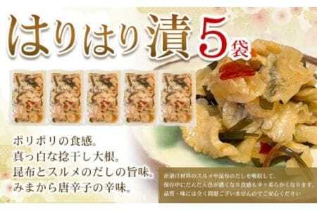はりはり漬け 5袋 100g×5袋 有限会社美馬交流館《90日以内に出荷予定（土日祝除く）》徳島県 美馬市 みまから 漬物 つけもの 送料無料