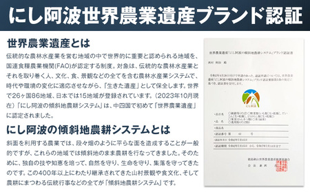 とんがらし 4袋 約20g×4袋 西村農園《30日以内に出荷予定(土日祝除く)》徳島県 美馬市 青果物 野菜 唐辛子 とうがらし