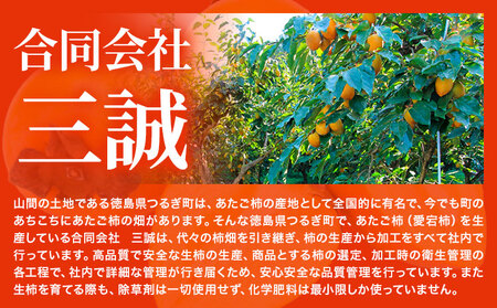 丸ごと柿酢 2本セット(化粧箱入り) 合同会社三誠《30日以内に出荷予定(土日祝除く)》柿 あたご柿 愛宕柿 カキ 柿酢 酢 調理用 醸造酢 カクテル ドレッシング ギフト 贈答 送料無料 徳島県 美馬市 st-p 丸ごと柿酢 2本セット(化粧箱入り) 合同会社三誠《30日以内に出荷予定(土日祝除く)》柿 あたご柿 愛宕柿 カキ 柿酢 酢 調理用 醸造酢 カクテル ドレッシング ギフト 贈答 送料無料 徳島県 美馬市 st-p