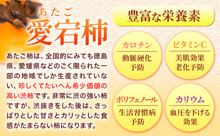 丸ごと柿酢 2本セット(化粧箱入り) 合同会社三誠《30日以内に出荷予定(土日祝除く)》柿 あたご柿 愛宕柿 カキ 柿酢 酢 調理用 醸造酢 カクテル ドレッシング ギフト 贈答 送料無料 徳島県 美馬市 st-p 丸ごと柿酢 2本セット(化粧箱入り) 合同会社三誠《30日以内に出荷予定(土日祝除く)》柿 あたご柿 愛宕柿 カキ 柿酢 酢 調理用 醸造酢 カクテル ドレッシング ギフト 贈答 送料無料 徳島県 美馬市 st-p