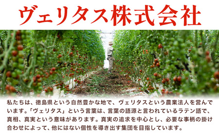 ミニトマト 1kg 《11月上旬-6月末頃出荷》株式会社ヴェリタス 徳島県 美馬市 青果物 野菜 とまと トマト フロランティーノ アルル アマイアリー アイコ 千恋 チコ st-p