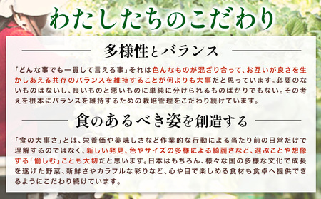 ミニトマト 1kg 《11月上旬-6月末頃出荷》株式会社ヴェリタス 徳島県 美馬市 青果物 野菜 とまと トマト フロランティーノ アルル アマイアリー アイコ 千恋 チコ st-p