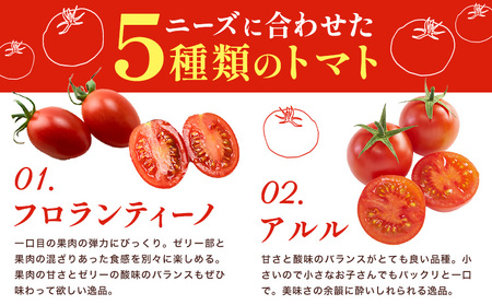 ミニトマト 1kg 《11月上旬-6月末頃出荷》株式会社ヴェリタス 徳島県 美馬市 青果物 野菜 とまと トマト フロランティーノ アルル アマイアリー アイコ 千恋 チコ st-p