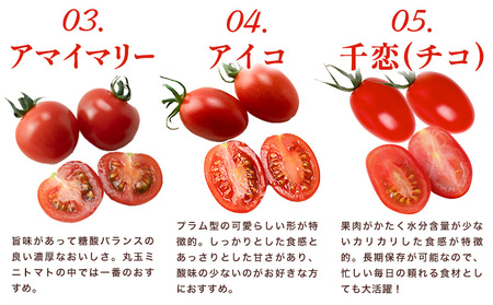 ミニトマト 1kg 《11月上旬-6月末頃出荷》株式会社ヴェリタス 徳島県 美馬市 青果物 野菜 とまと トマト フロランティーノ アルル アマイアリー アイコ 千恋 チコ st-p