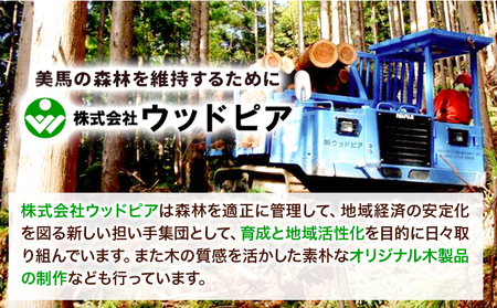 木のピアス キューブ状  株式会社ウッドピア 《30日以内出荷(土日祝除く)》 アクセサリー ピアス イヤリング ファッション 木製 レターパック 送料無料 徳島県 美馬市
