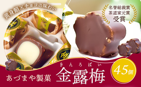 和菓子 黄身餡子 チョコレート 金露梅 45個 あづまや製菓有限会社 《30日以内に出荷予定(土日祝除く)》 徳島県 美馬市 阿波 郷土銘菓 自家製黄身餡 チョコ 名誉総裁賞 茶道家元賞 贈り物 お茶請け