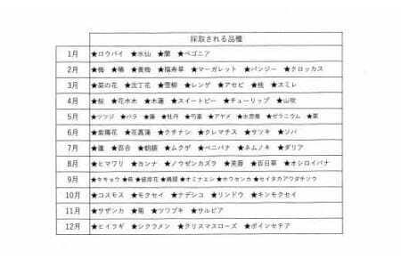 日本みつばち　てっぺんはちみつ