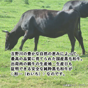 和一牛ステーキ用サーロイン500g