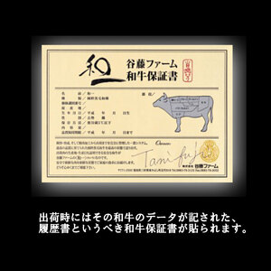 和一牛ステーキ用サーロイン500g