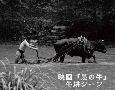 映画『黒の牛』応援企画！三芳菊コラボ限定 日本酒 （720ml）【 日本酒 】