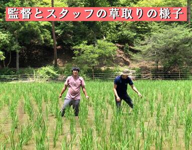 映画『黒の牛』応援企画！三芳菊コラボ限定 日本酒 （720ml）【 日本酒 】