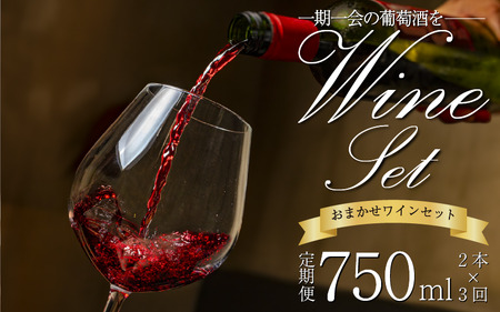 【醸造所 直送】 こだわり 国産 ワイン 定期便 750ml 2本 3回【 ワイン 】