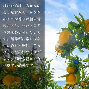 徳島県産はれひめ5kg みかん【はれひめ】