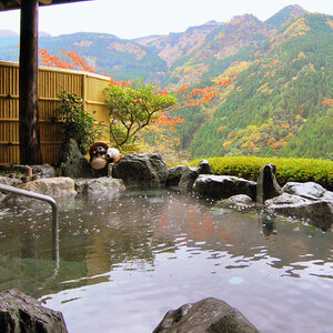 新祖谷温泉ホテルかずら橋 宿泊券 30,000円分 旅行【 旅行 】