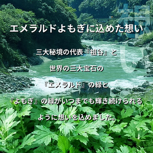 栽培期間中 農薬不使用 よもぎとゆずのお風呂 1パック 1pあたり 125g エメラルドよもぎ 化学肥料不使用 薬草 よもぎ蒸し ヨモギ蒸し よもぎ風呂 よもぎ ゆず 木頭ゆず 健康 美容 血行 肌 送料無料 入浴剤 エメラルドよもぎ 青空よもぎのしみず 薬草 徳島県 三好 みよし 祖谷