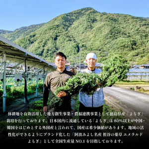 栽培期間中 農薬不使用 よもぎとゆずのお風呂 1パック 1pあたり 125g エメラルドよもぎ 化学肥料不使用 薬草 よもぎ蒸し ヨモギ蒸し よもぎ風呂 よもぎ ゆず 木頭ゆず 健康 美容 血行 肌 送料無料 入浴剤 エメラルドよもぎ 青空よもぎのしみず 薬草 徳島県 三好 みよし 祖谷