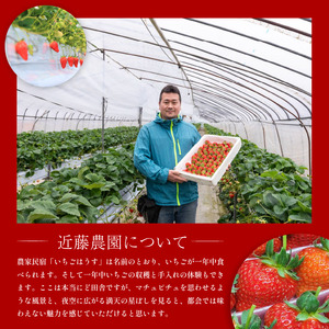 いちご400g 恋みのり 旬 果物【いちご】