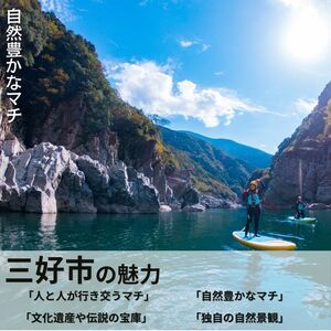 いちご 狩り チケット 一人 【 いちご 】