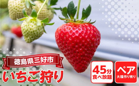 いちご狩り チケット ペア2人 いちご 大福 付き【 いちご 】