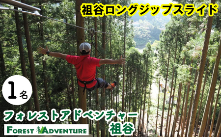 フォレストアドベンチャー 祖谷 ロングジップスライド 1名 チケット 観光 【 観光 】