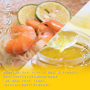 訳あり黄色柚子 有機ゆず 良品 3kg【ゆず】