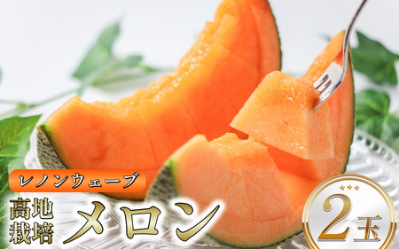 レノンウェーブ 赤肉メロン 2玉 期間限定 メロン 【 メロン 】