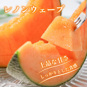 レノンウェーブ 赤肉メロン 2玉 期間限定 メロン 【 メロン 】