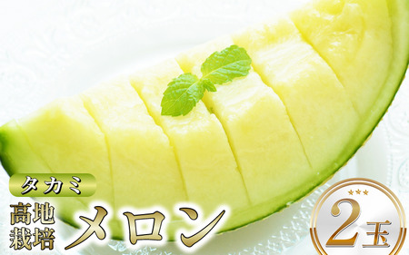 メロン 青肉 タカミ 2玉 期間限定 フルーツ 果物【 メロン 】