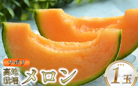 メロン 赤肉 ナポリ 1玉 期間限定 フルーツ 果物【 メロン 】