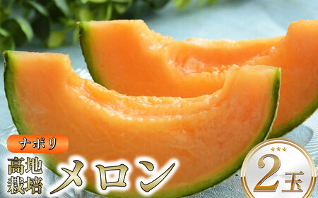 メロン 赤肉 ナポリ 2玉 期間限定 フルーツ 果物【 メロン 】
