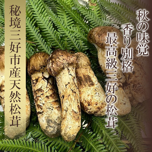 三好市産松茸 200g 2~5本 まつたけ 【 まつたけ 】
