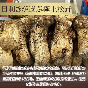 三好市産松茸 200g 2~5本 まつたけ 【 まつたけ 】