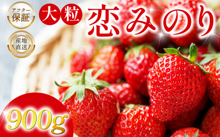 【徳島県産】 いちご 恋みのり 400g 美味しい品種 【いちご】