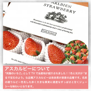 いちご 1,300g 2L以上 アスカルビー 【いちご】