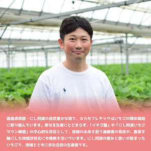 いちご 1,300g 2L以上 アスカルビー 【いちご】