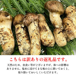 訳あり松茸 400g 天然 まつたけ【松茸】