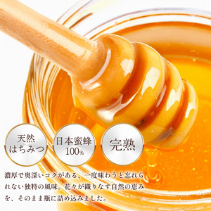 はちみつ 国産 蜂蜜 百花 600g ニホンミツバチ 【 産地直送 】 