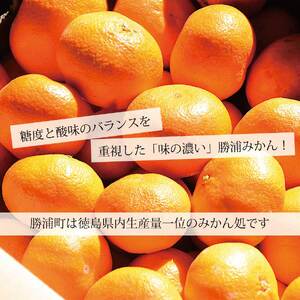 みかんジャム 4個