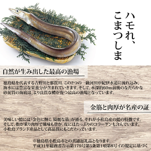 訳あり 鱧(はも)の唐揚げ 1.2kg