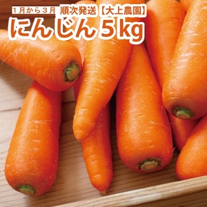 大上農園 にんじん 5kg