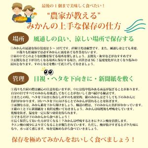 谷内青果 贈答用 熟成みかん 秀品 S-Mサイズ 3kg